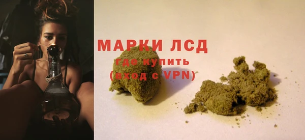 spice Белокуриха