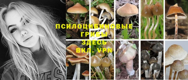 крисы Беломорск