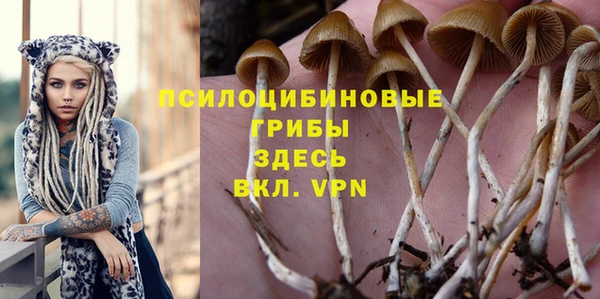 крисы Беломорск