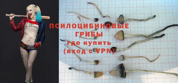 крисы Беломорск