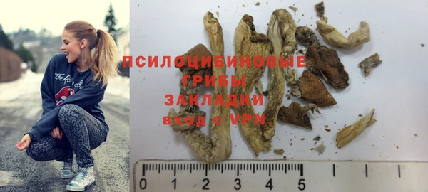 spice Белокуриха