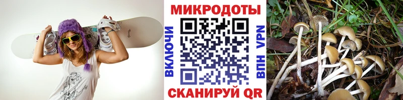 Галлюциногенные грибы мицелий Светогорск